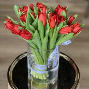 No.4 Red Tulips