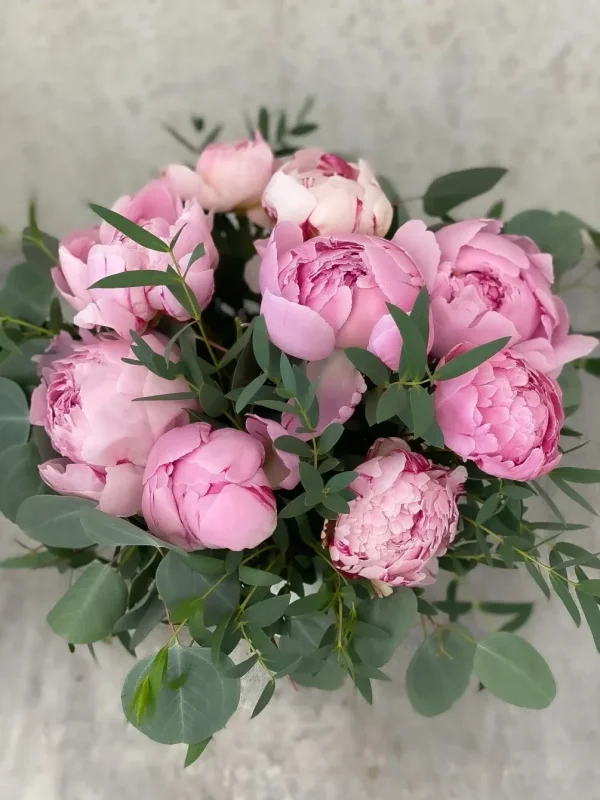 Special peonies by William